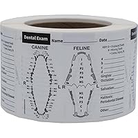Canine and Feline Dental Exam Veterinary Labels 3 x 4 Inch 100 Total Stickers