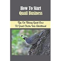 How To Start Quail Business: Tips On Taking Good Care Of Quail Chicks Into Adulthood: How To Raise Healthy Quails