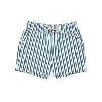 Rsq Simple Stripe 5'' Swim Shorts