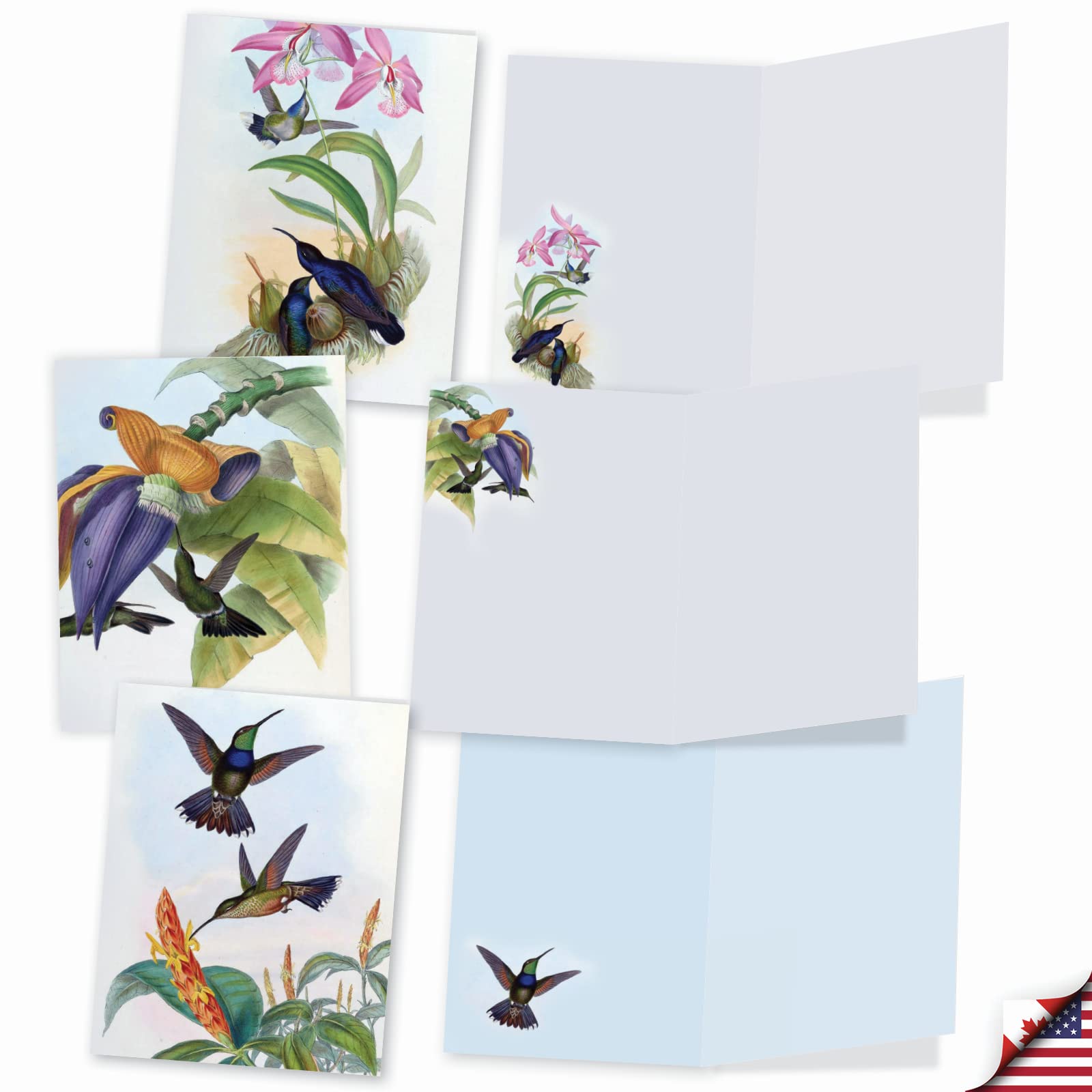 The Best Card Company - 10 Bird Note Cards Blank (4 x 5.12 Inch) - All Occasion Cards with Envelopes, Boxed Set - Humming Along M10034BK