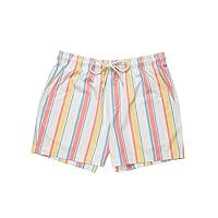 Rsq Multi Stripe 5'' Swim Shorts