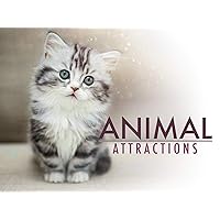Animal Attractions