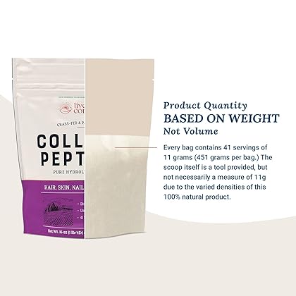 Collagen Peptides Powder - Naturally-Sourced Hydrolyzed Collagen Powder - Hair, Skin, Nail, and Joint Support - Type I & III Grass-Fed Collagen Supplements for Women and Men - 41 Servings - 16oz