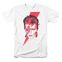 David Bowie Aladdin Sane Album Art T Shirt & Stickers
