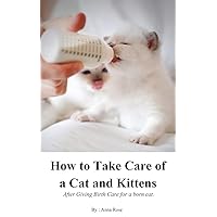 How to Take Care Of A Cat And Kittens After Giving Birth