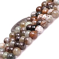 JOE FOREMAN Ocean Jasper Beads for Jewelry Making Natural Gemstone Semi Precious 6mm Round Brown 15