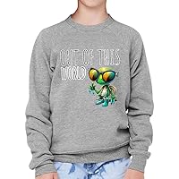 Out Of This World Kids' Raglan Sweatshirt - Alien Sponge Fleece Sweatshirt - Printed Sweatshirt