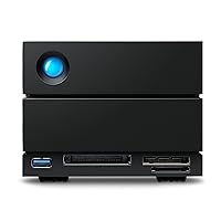 Seagate LaCie 2big Dock 32TB External HDD - Thunderbolt and USB4 Compatibility, Data Recovery (STLG32000400)