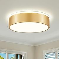 Dimmable Gold LED Ceiling Light, 2700K-6000K 5CCT in One Modern Flush Mount Ceiling Light Fixtures, Minimalist Round Metal Ceiling Lamp for Bedroom Kitchen Hallway Laundry Room-11.8in