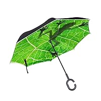 Double Layer Inverted Umbrella Cars Reverse Umbrella Frog Shadow On Leaf Windproof UV Proof Travel Outdoor Umbrella
