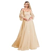 Long Sleeve Tulle Prom Dress for Women Puffy Lace Applique Sparkly Fomrmal Evening Gowns Corset Wedding Dress