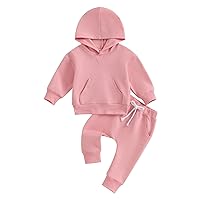 Toddler Baby Boy Girl Outfit Solid Color Long Sleeve Hoodie Sweatshirt Sweatpants Set 2Pcs Fall Winter Clothes