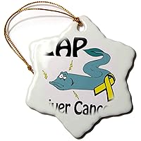 3dRose Zap Liver Cancer Awareness Ribbon Cause Design - Ornaments (orn-115314-1)