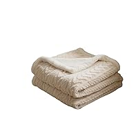 Nap Blanket in Autumn and Winter, Biochemical Blanket Double -Layer Thickened and Warm Large Lambskin Sofa, Cover The Blanket Tapa Plug (Color : 01, Size : 100 * 150cm(750g))
