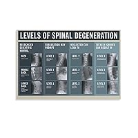 TruriM Chiropractor Levels Of Spinal Degeneration Poster Chiropractic Decor Canvas Wall Art Prints for Wall Decor Room Decor Bedroom Decor Gifts Posters 12x18inch(30x45cm) Unframe-style