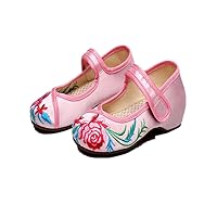 Girl's Embroidery Flat Ballet Shoes Kid's Cute Mary-Jane Dance Shoe Flat Sandal Shoe