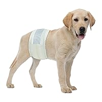 BV Dog Diapers Male Medium (Waist 13-23in) Super Absorbent - 50 Count Male Dog Diapers Disposable - Doggie Diapers with Wetness Indicator - Adjustable Male Dog Wraps - Ideal for Incontinence/Training