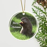 Christmas Ceramic Ornaments,Groundhog Eating OrnamentEaster Tree Hanging Decorations Unlit Fruit Science Fiction for Sweet Sentiments