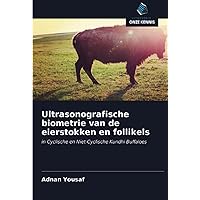 Ultrasonografische biometrie van de eierstokken en follikels: in Cyclische en Niet-Cyclische Kundhi Buffaloes (Dutch Edition)