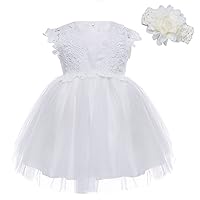 Infant Baby Girls Tulle Tutu Skirt Flower Applique Princess Birthday Party Dress with Headband