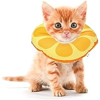 Extra Small Kitten Cone After Surgery Neuter, Soft Elizabethan Collar for Kitten 0-6 Months Old, Small Cat Recovery Collar, Kitten E Collar Alternative, Kitten Donut Collar to Stop Licking