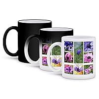 3dRose Thank You Greeting Pink and Purple Anemone Photo Collage - Mugs (mug_350422_3)