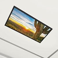 4 Pack Fluorescent Light Covers Sun Horizon Saguaro Cactus Decorative Magnetic Ceiling Light Covers Light Shade Panel for Classroom Office 4 x 2 ft