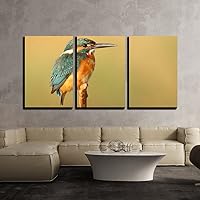wall26 - 3 Piece Canvas Wall Art - Closeup of a Bird Stand on The Branch - Modern Home Art Stretched and Framed Ready to Hang - 16