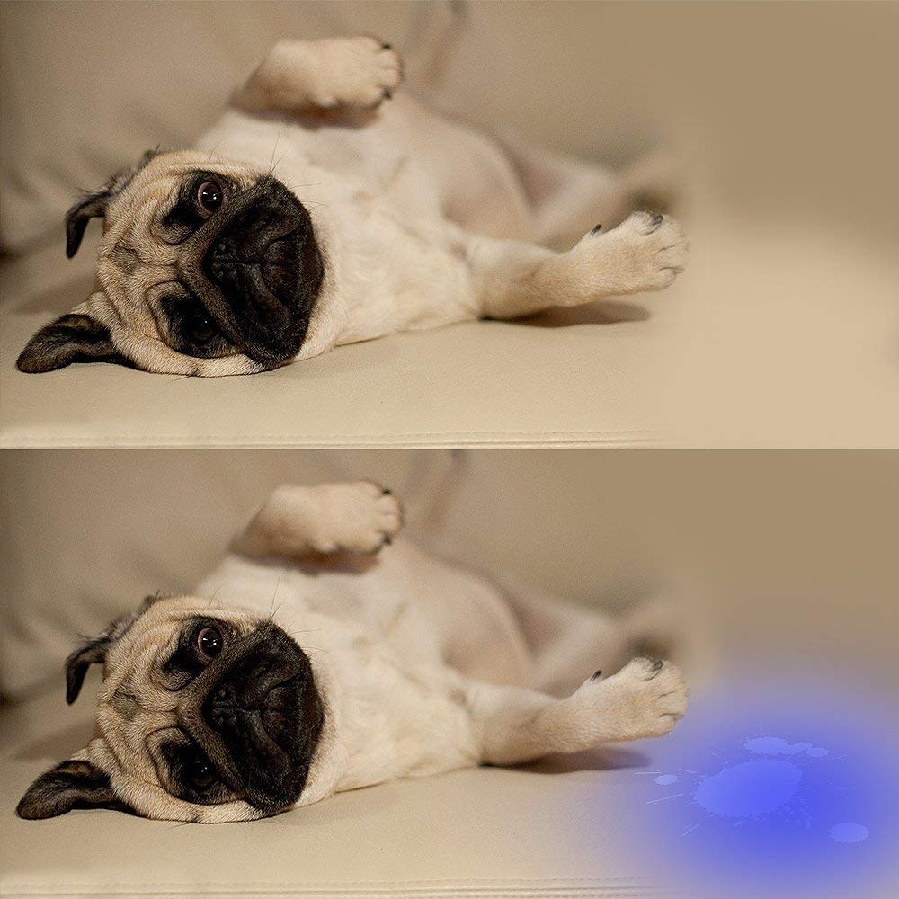 Vansky UV Flashlight Black Light 51 LED & 51 LED Blacklight Pet Urine Detector for Dog/Cat Urine,Dry Stains,Bed Bug, Matching with Pet Odor Eliminator