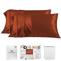 23 Momme Silk Toddler Pillowcase 2 Pack with Free Laundry Bag, Natural Highest Grade 6A+ 100% Mulberry Silk Pillow Case Set of 2, Zipper (Toddler/Travel 13