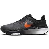 Nike Structure 25 Men's Road Running Shoes (FQ8724-084, Smoke Grey/Black/Dark Smoke Grey) Size 12