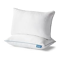 LUCID Premium Shredded Memory Foam Pillow - Hypoallergenic - Moldable Loft - 2 Pack - Queen, White