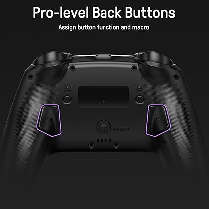 [Luminous Pattern] Switch Controller, FUNLAB Switch Pro Controller Wireless Compatible with Nintendo Switch/OLED/Lite, Firefly Bluetooth Remote Gamepad with 7 LED Colors/Paddle/Turbo/Motion Control