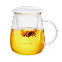 Glass Tea Cup with Infuser and Lid, Steeping Mug with Removable Strainer and Lid for Loose Leaf Tea, Borosilicate Glass Mug for Blooming Tea (Clear, 17.6 oz Capacity)