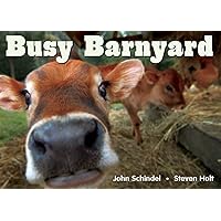 Busy Barnyard (A Busy Book)