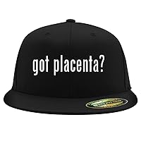 got Placenta? - Flexfit 6210 Structured Flat Bill Fitted Hat | Trendy Baseball Cap for Men and Women | Snapback Closure