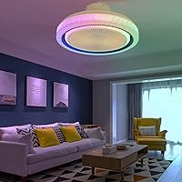 Fan Lamps,Ceiling Fan with Light and Remote Control Silent Motor Adjustable Coloured Light with App and Timer Ceiling Fan