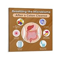 SLRSWMYS Resetting The Microbiome After A Colon Cleanse Poster Hospital Gastroenterology Canvas Painting Wall Art Poster for Bedroom Living Room Decor 16x16inch(40x40cm) Frame-style