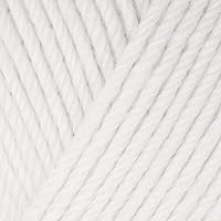 Cascade Yarns - Cascade 220 Superwash [3-DK] 871 White