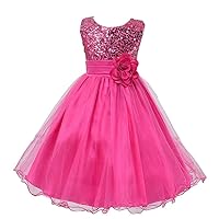 Little Girls' Sequin Mesh Tulle Dress Sleeveless Flower Party Ball Gown