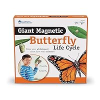 Butterfly Life Cycle, 9 Write and Wipe Pieces, Classroom Accessories, Teaching Aids, Ages 5+