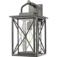 Elk Lighting 46751/1 Carriage 1-Light Matte Black with Seedy Glass Sconce,not specified