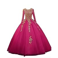 Prom Dress Long Tulle Off Evening Dress Special Occasion Dress