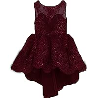 Sequins Flower Girl Dresses for Wedding Hi Lo Lace Birthday Party Ball Gown