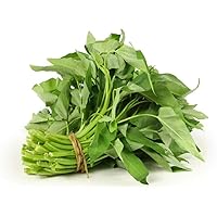 450 Kong Xin CAI Seeds - 21+ Grams Green Leaf Vegetable Seeds for Planting Garden - Non-GMO Choy Ong Seeds & 100% Produced in 450 seeds