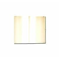 Sellstrom Gold Plate Polycarbonate Passive Welding Filter Plate, 2