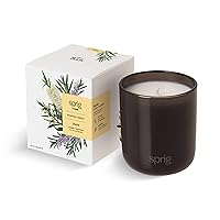Sprig by Kohler Shield Aromatherapy Candle with Tea Tree and Rosemary, 100% Natural Soy-Coconut Wax, Strong and Centering Scent, Gift for Holidays, 8 oz