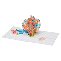 American Greetings Pop Up Birthday Card (Bouquet)