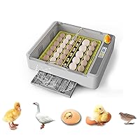 Incubators for Hatching Eggs, 36 Chicken Egg Incubator with Quick Use, 360° Egg Incubator with Automatic Egg Turning and Humidity Control, Quail Eggs with Adjustment Egg Tray for Hatching, Goose