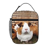 Guinea Pigs Lunch Bag for Women Men Reusable Insulated Lunch Box Travel Lunch Tote Bag Lunch Container Box Portable Lunchbag for Work Picnic Camping